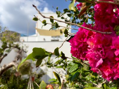 IMG_2140