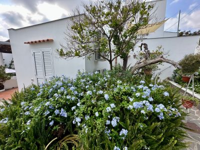 IMG_2390